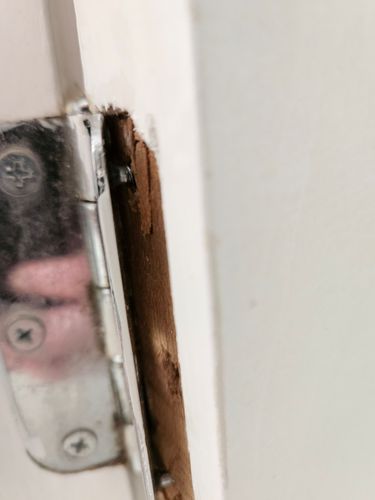 1000030769.jpg 1000030769.jpg