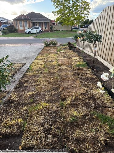 IMG_432D911B-C05F-4C7B-89C8-5B73B7597297.jpeg IMG_432D911B-C05F-4C7B-89C8-5B73B7597297.jpeg