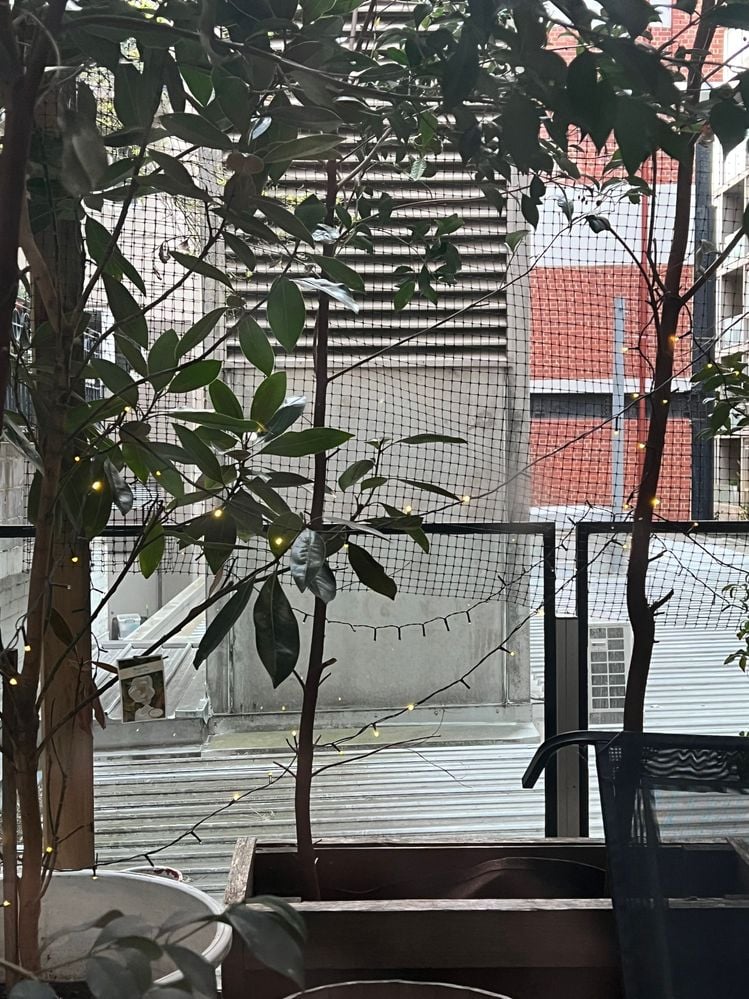 IMG_6151.jpeg IMG_6151.jpeg