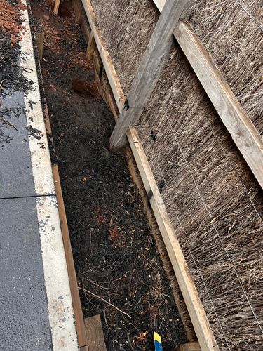 IMG_5149.jpeg IMG_5149.jpeg