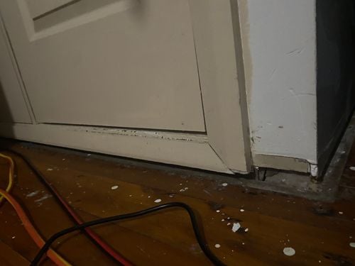 FE8CAF45-D5E9-4957-B474-4C87516DF048.jpeg FE8CAF45-D5E9-4957-B474-4C87516DF048.jpeg