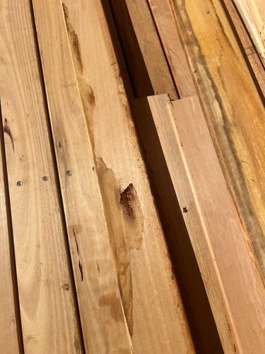 IMG_1759.jpeg IMG_1759.jpeg