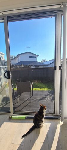 17168510699428531110152444336275.jpg 17168510699428531110152444336275.jpg