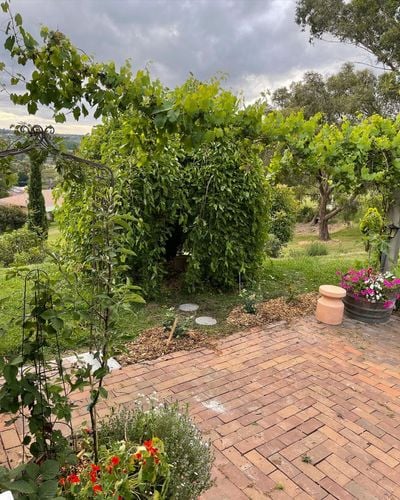 0407A2C0-ACC7-44E2-9A7B-8D541D04517B.jpeg 0407A2C0-ACC7-44E2-9A7B-8D541D04517B.jpeg