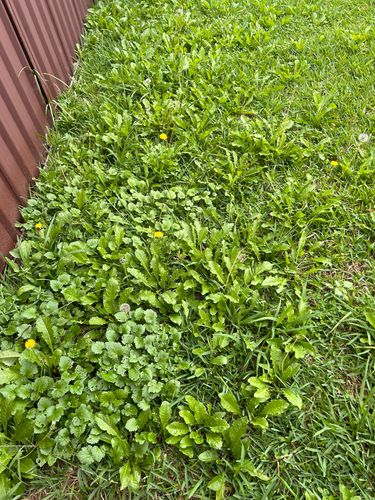 31B73B46-A011-4DF6-B52A-680BB7DE97C8.jpeg 31B73B46-A011-4DF6-B52A-680BB7DE97C8.jpeg