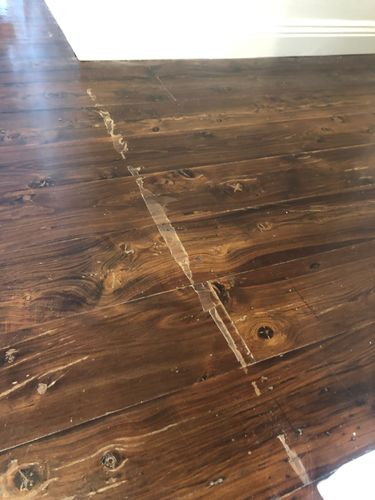 D75C3E42-4F10-4F39-B4E5-C4BC18A28280.jpeg D75C3E42-4F10-4F39-B4E5-C4BC18A28280.jpeg