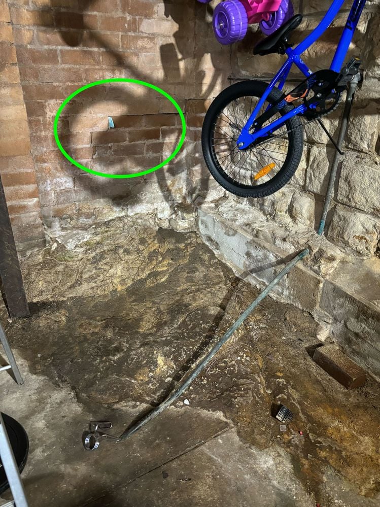 IMG_3463.jpg IMG_3463.jpg