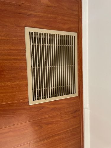 IMG_0966.jpeg IMG_0966.jpeg