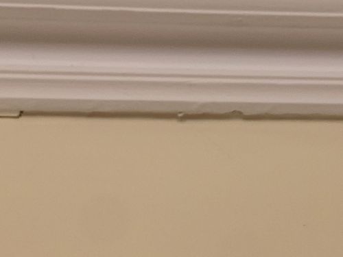 9764F93A-D5D2-48D1-A3A2-FBE7EBB0B656.jpeg 9764F93A-D5D2-48D1-A3A2-FBE7EBB0B656.jpeg