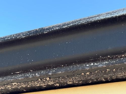 IMG_8592.jpeg IMG_8592.jpeg