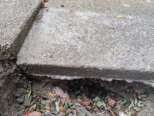 1000014901.jpg 1000014901.jpg