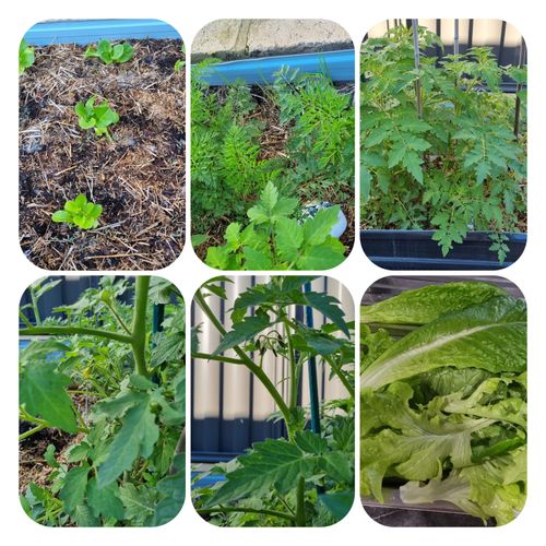 5AFF0817-B7D1-4232-8DAD-E92C5F54E2BB.jpeg 5AFF0817-B7D1-4232-8DAD-E92C5F54E2BB.jpeg