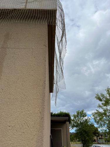 081C95AE-C06C-4A81-BA7F-8C2025538476.jpeg 081C95AE-C06C-4A81-BA7F-8C2025538476.jpeg