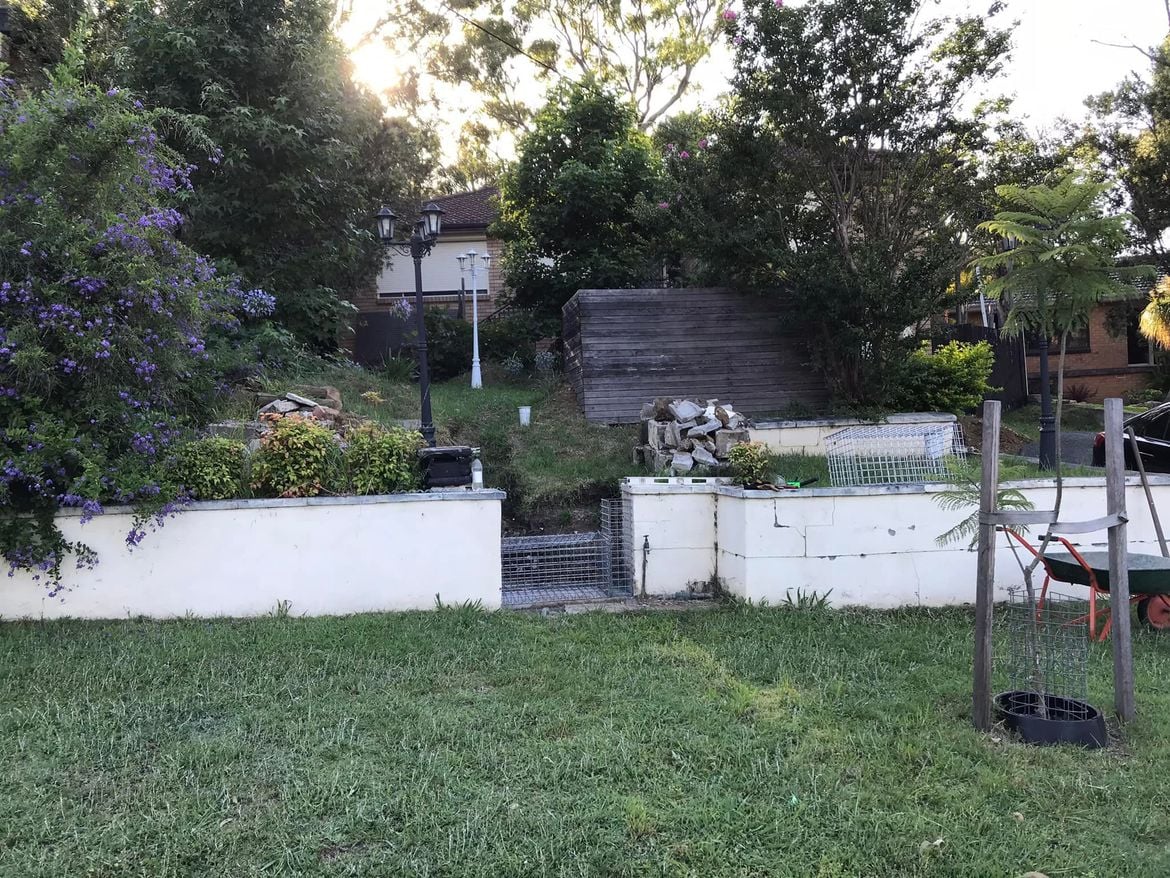 22 02-01-2022.jpg 22 02-01-2022.jpg