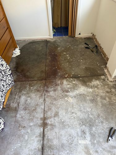 IMG_1150.jpeg IMG_1150.jpeg