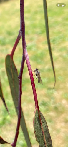 IMG_7713.png IMG_7713.png