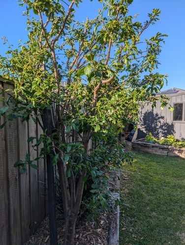 1000007509.jpg 1000007509.jpg