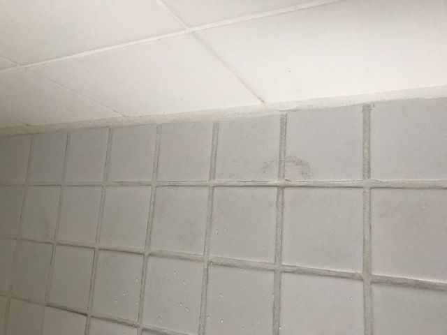 IMG_1718.jpg IMG_1718.jpg