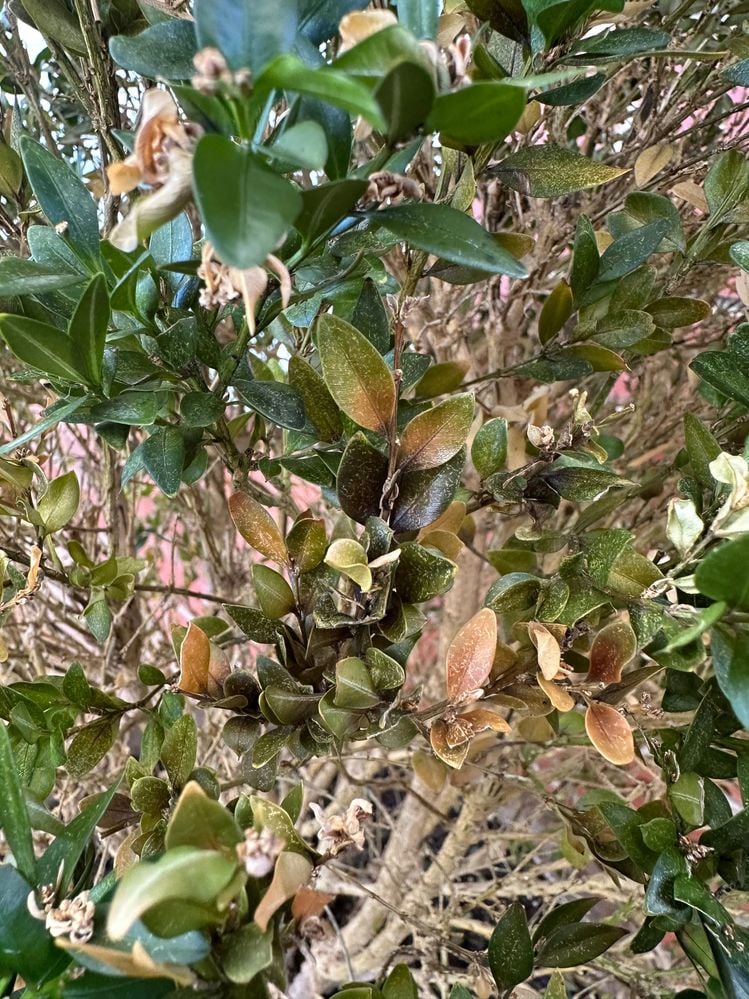 IMG_8178.jpg IMG_8178.jpg