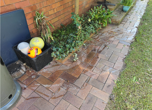 moksie7_0-1711326073581.png moksie7_0-1711326073581.png