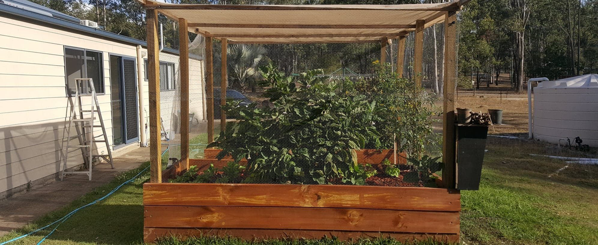 TheSaltyreefer.png TheSaltyreefer.png