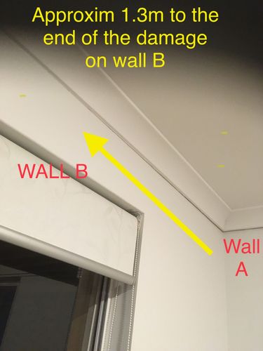 1C9B6E4E-7D80-4E77-8077-97D0D734F455.jpeg 1C9B6E4E-7D80-4E77-8077-97D0D734F455.jpeg