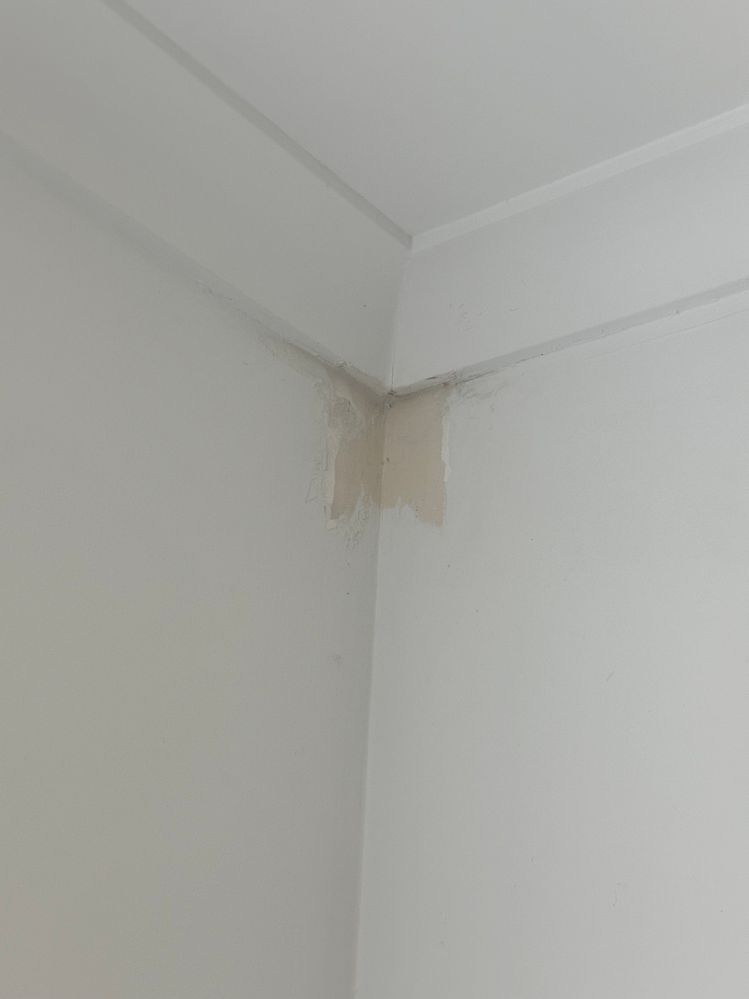 IMG_4151.jpg IMG_4151.jpg