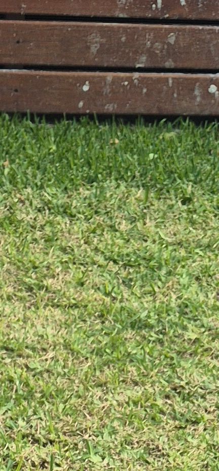 20250418_112110_resized.jpg 20250418_112110_resized.jpg