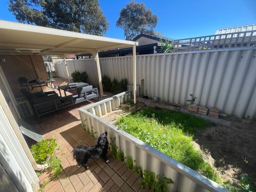 IMG_5081.jpeg IMG_5081.jpeg