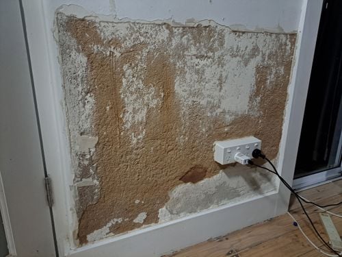 1000020924.jpg 1000020924.jpg