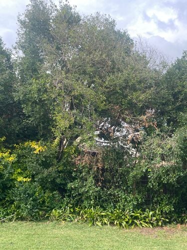 IMG_6542.jpeg IMG_6542.jpeg