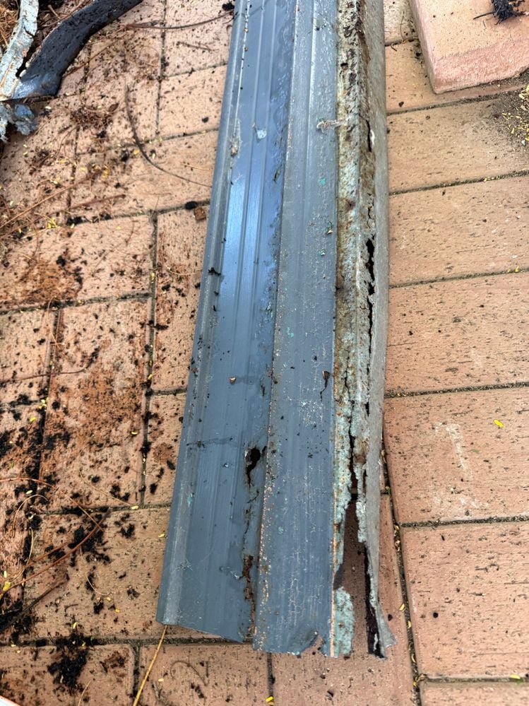 IMG_7216.jpeg IMG_7216.jpeg