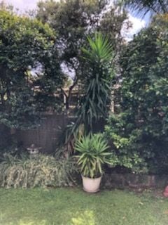 Backyard 2.jpg Backyard 2.jpg