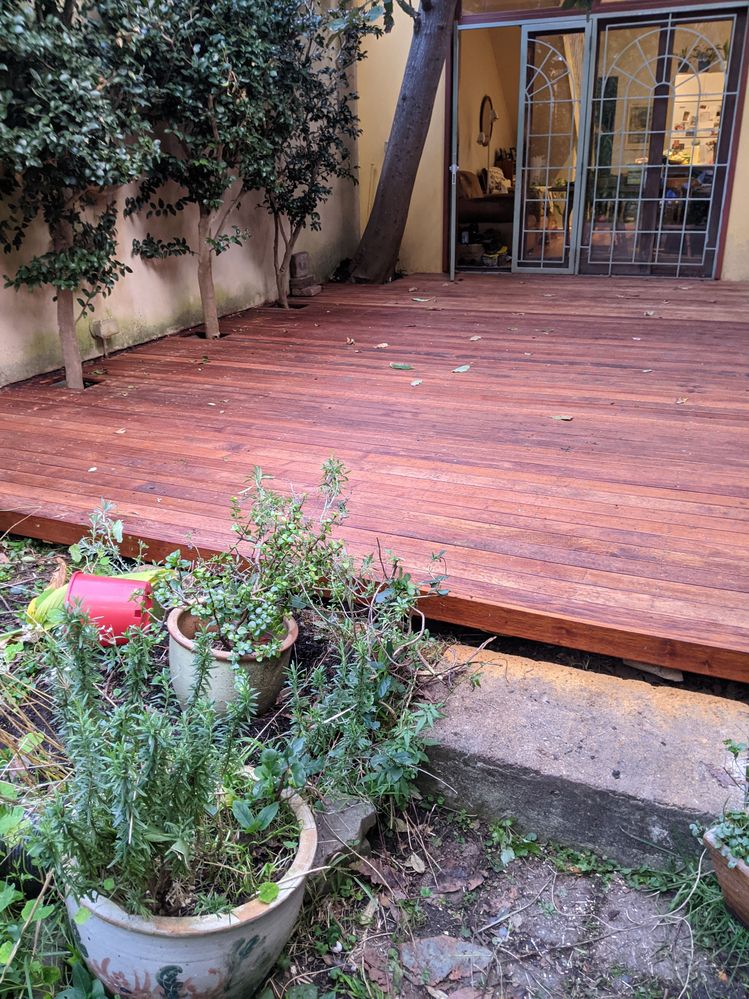 PXL_20210708_064847194.jpg PXL_20210708_064847194.jpg