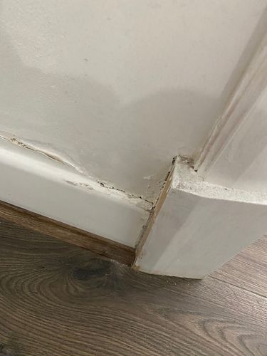 image_67170561.JPG image_67170561.JPG