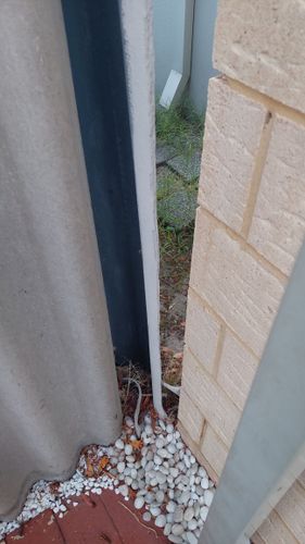 1000059577.jpg 1000059577.jpg