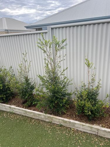 IMG_2148.jpeg IMG_2148.jpeg