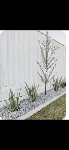 1000026042.jpg 1000026042.jpg