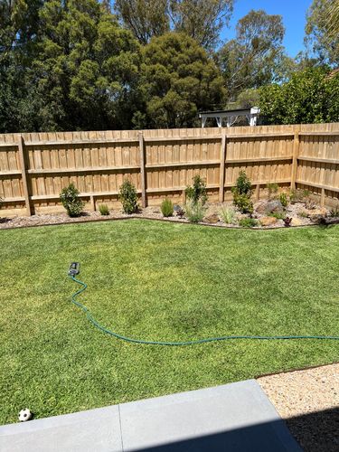 IMG_3168.jpeg IMG_3168.jpeg