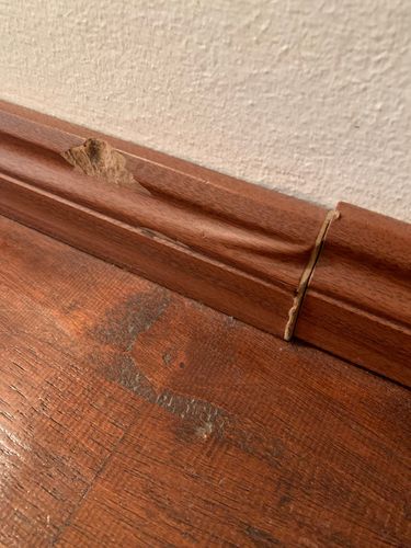 IMG_3986.jpeg IMG_3986.jpeg