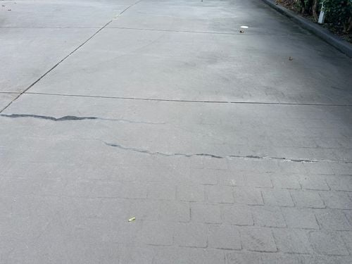 IMG_6360.jpeg IMG_6360.jpeg