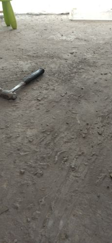 IMG_20221116_151446.jpg IMG_20221116_151446.jpg