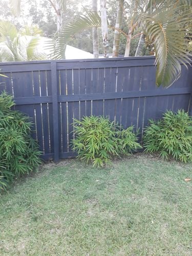 20220206_172517.jpg 20220206_172517.jpg