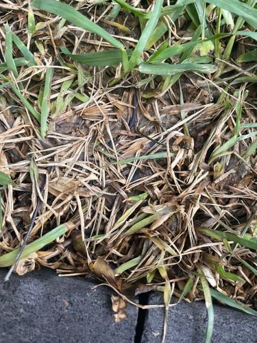 IMG_7941.jpeg IMG_7941.jpeg