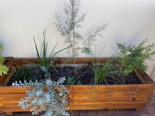 IMG-5088.jpg IMG-5088.jpg