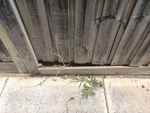 IMG20230109162620.jpg IMG20230109162620.jpg