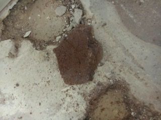 473388AE-15F5-40B4-B447-FF7F5D238767.jpeg 473388AE-15F5-40B4-B447-FF7F5D238767.jpeg