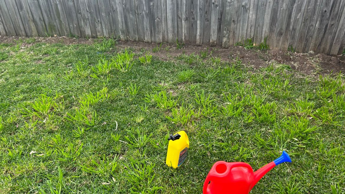 Image (3).jpg Image (3).jpg