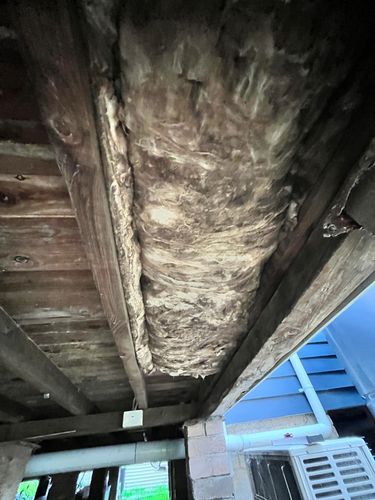 IMG_2696.jpeg IMG_2696.jpeg