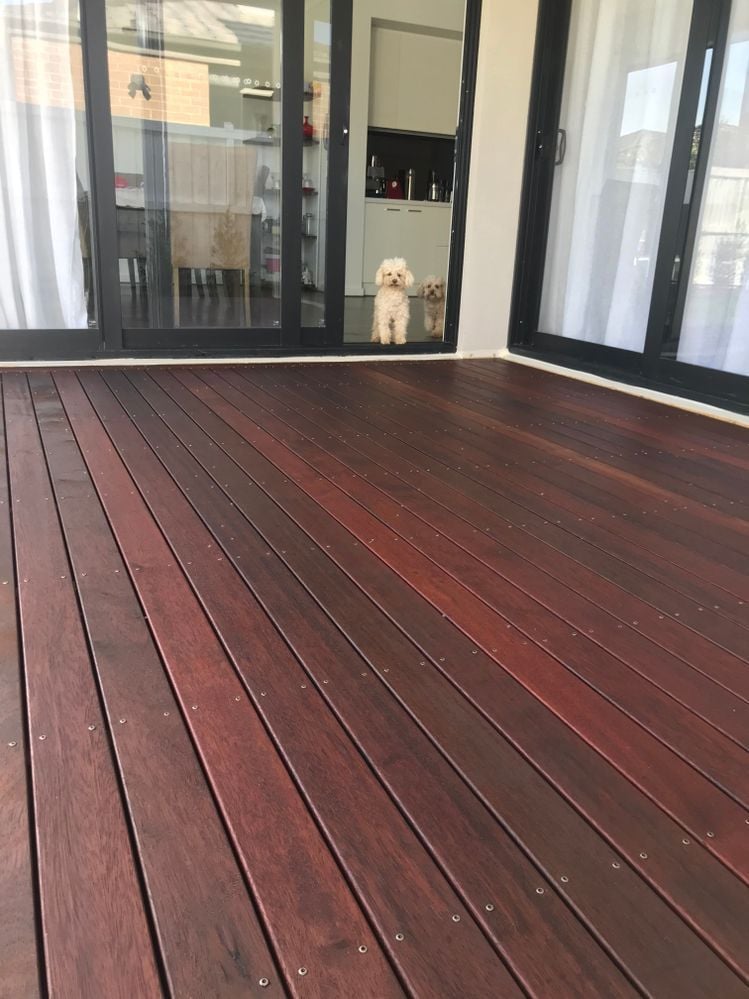 StevieB_0-1629354009106.jpeg StevieB_0-1629354009106.jpeg